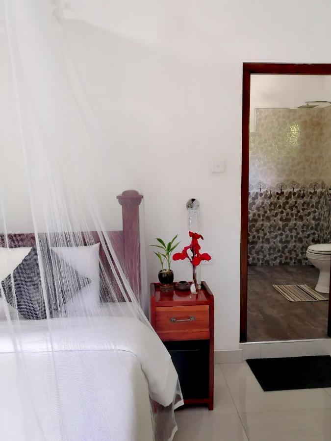 Tantra Ella Lodge エクステリア 写真